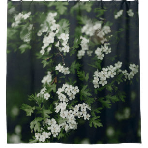 Cortina De Ducha Fotografía Botánica de Flor Blanca Soñadora de la
