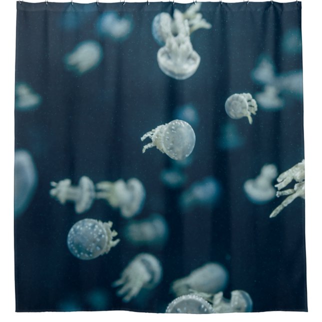 CORTINA DE DUCHA FOTOGRAFÍA CERRADA DE JELLYFISH (Anverso)