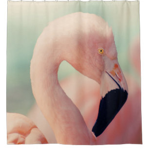 Cortina De Ducha Fotografía de foco poco profundo del flamingo rosa