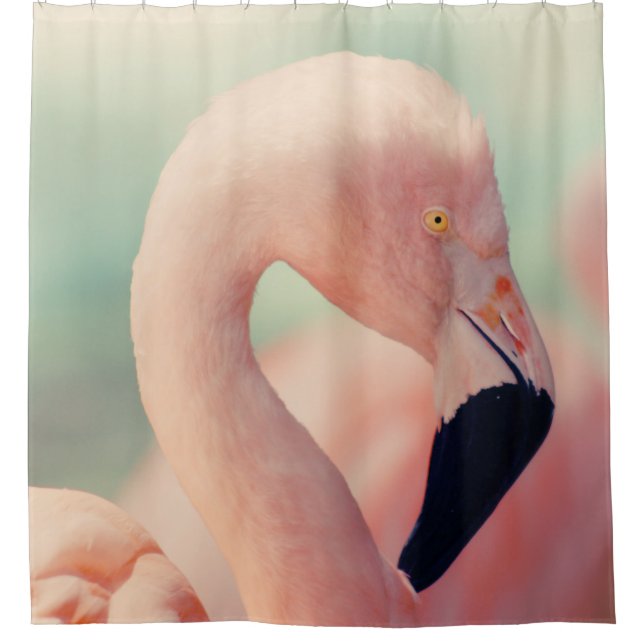 Cortina De Ducha Fotografía de foco poco profundo del flamingo rosa (Anverso)