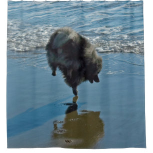 Cortina De Ducha Fotografía del Ballet Keeshond - Arte de Perro Ori