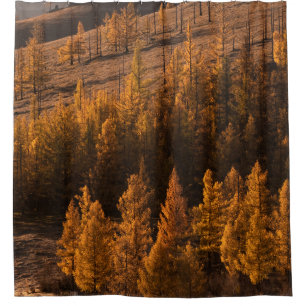 CORTINA DE DUCHA FOTOGRAFÍA DEL PAISAJE DE ÁRBOLES DE COLOR MARR