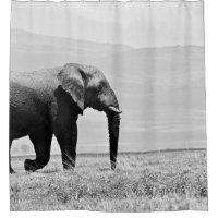 FOTOGRAFÍA GRAYSCALE DE ELEFANTE