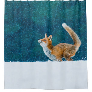 Cortina De Ducha Fox en nevada. Fox roja, Vulpes vulpes, saltar i