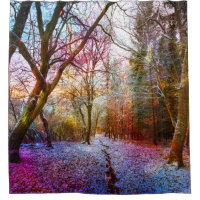 Frosty Sunny Morning En Woods