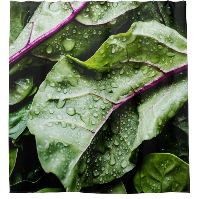 Cortina De Ducha Frutas saludables (Anverso)