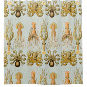 Cortina De Ducha Gamochonia de Ernst Haeckel