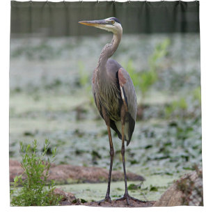 Cortina De Ducha Garza de gran azul