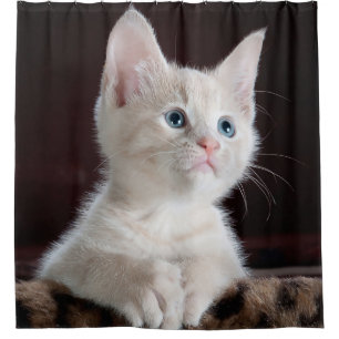 Cortina De Ducha Gatito lindo