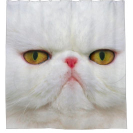 Cortina De Ducha Gato blanco
