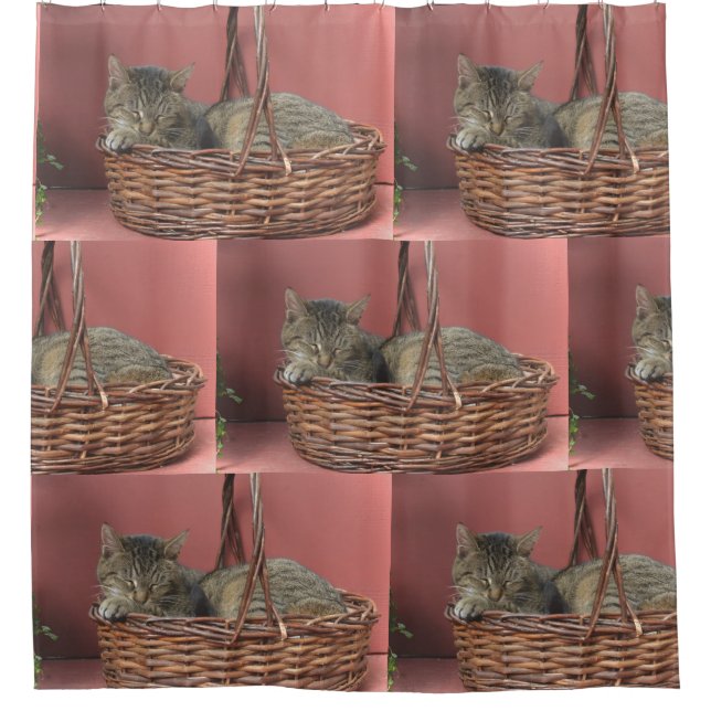 Cortina De Ducha Gato En Una Cesta (Anverso)
