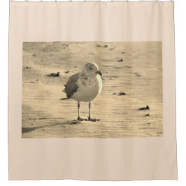 Cortina De Ducha Gaviota en la playa