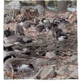 Cortina De Ducha Geese in the Park Shower Curtain
