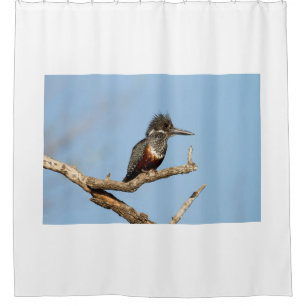 Cortina De Ducha Giant Kingfisher