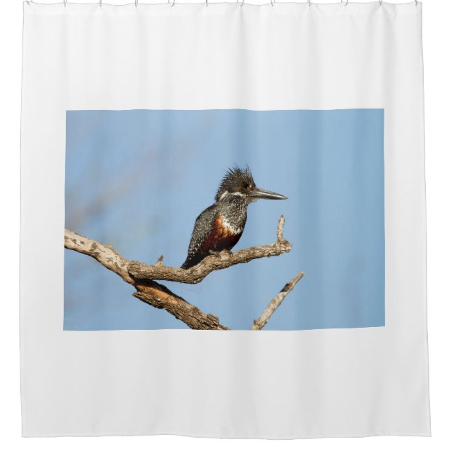 Cortina De Ducha Giant Kingfisher (Anverso)