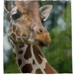 Cortina De Ducha Giraffe Lovers Art Shower Cortain