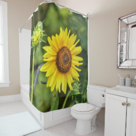 Cortina De Ducha Girasol