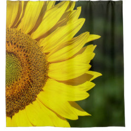 Cortina De Ducha Girasol