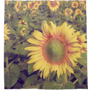 Cortina De Ducha Girasol con efecto filtro estilo retro vintage