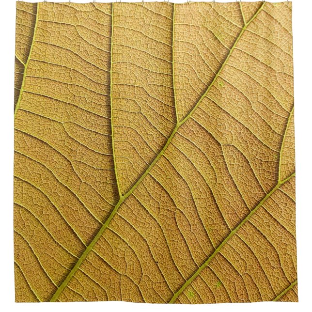 Cortina De Ducha Golden yellow leaf pattern in the morning.  (Anverso)