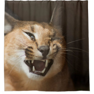 Cortina De Ducha Goofy Lynx