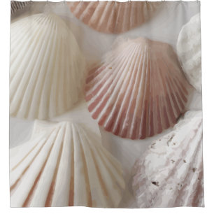 Cortina De Ducha Gráficos Seashell