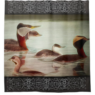 Cortina de ducha Grebes 1917 Pájaros