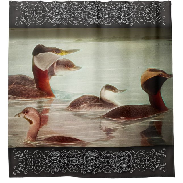 Cortina de ducha Grebes 1917 Pájaros (Anverso)