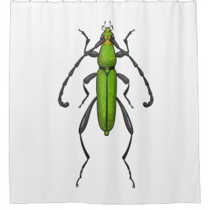 Cortina De Ducha Green beetle