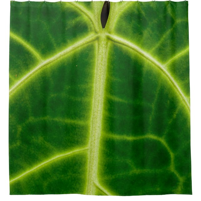 Cortina De Ducha Green-leafed plant (Anverso)