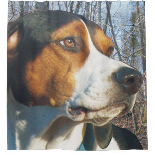 Cortina De Ducha Guapo Walker Coonhound