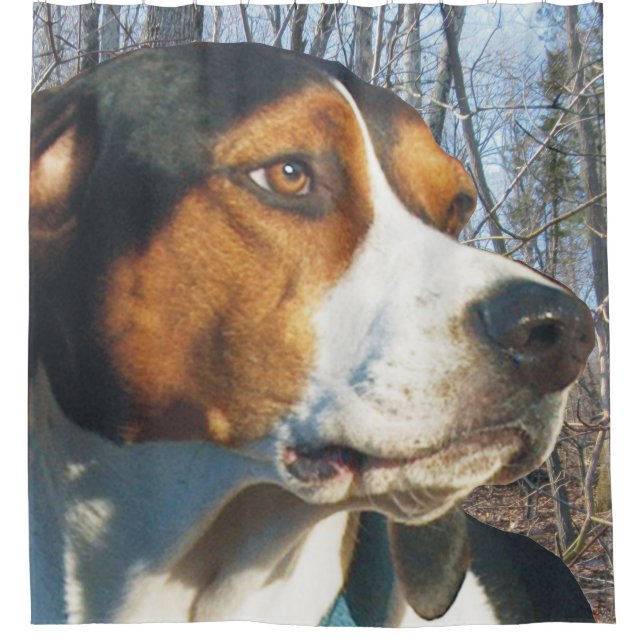 Cortina De Ducha Guapo Walker Coonhound (Anverso)