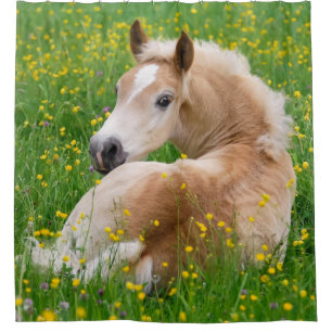 Cortina De Ducha Haflinger de albóndigas de ternera rallado - Tub