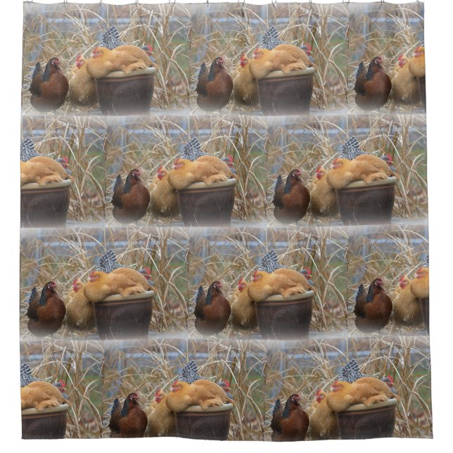 Cortina De Ducha Hen Fiesta (Anverso)