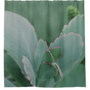 Cortina De Ducha Hermosa Planta Desierta Fotografía de Arte