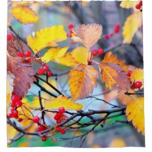 Cortina De Ducha Hermosas bayas de espino dorsal en otoño