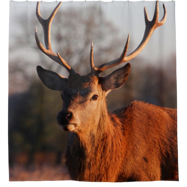 CORTINA DE DUCHA HI DEER (Anverso)