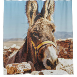 CORTINA DE DUCHA HI DONKEY