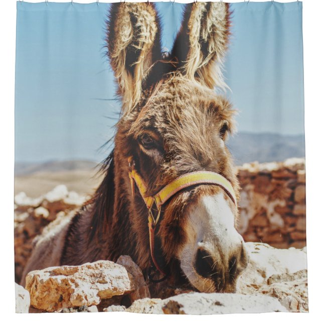 CORTINA DE DUCHA HI DONKEY (Anverso)