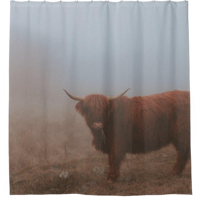 CORTINA DE DUCHA HIGHLAND CATTW COW (Anverso)