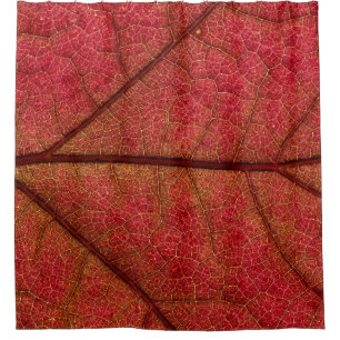 Cortina De Ducha Hoja roja en fotografía de primer plano