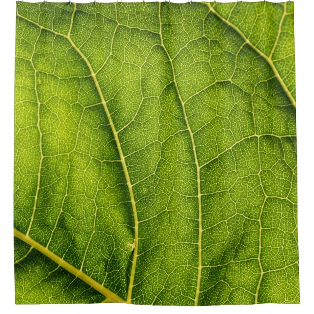 Cortina De Ducha Hoja verde (Anverso)