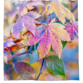 Cortina De Ducha Hojas de arce japonesas majestuosas