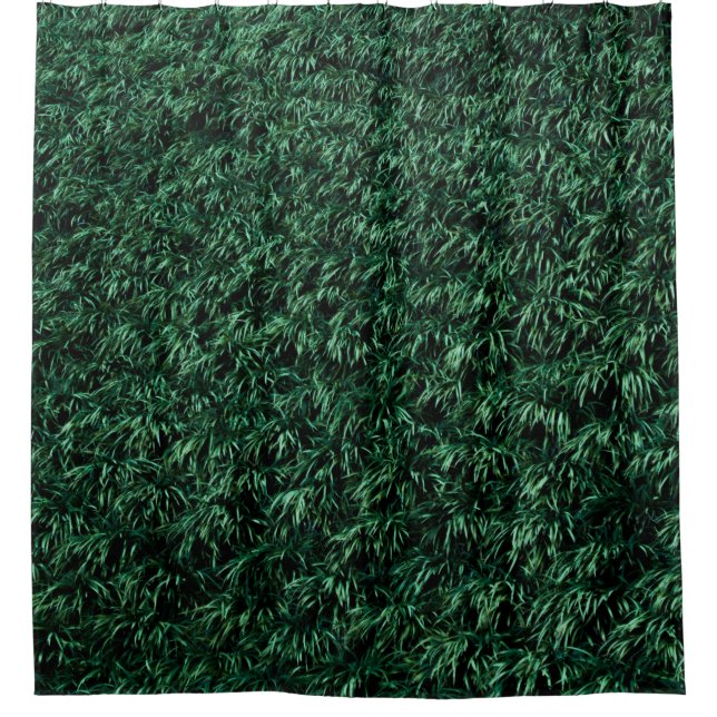 Cortina De Ducha Hojas verdes (Anverso)