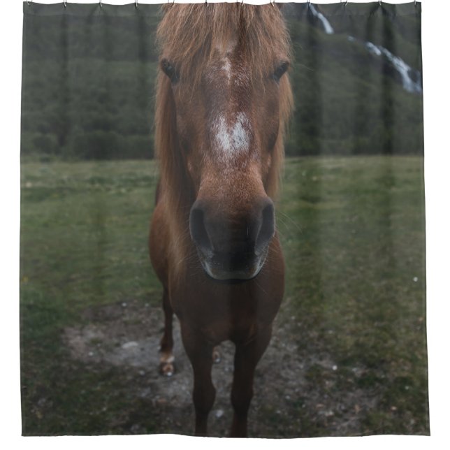 CORTINA DE DUCHA HOLA SOY UN CABALLO (Anverso)