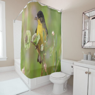 Cortina De Ducha Hombre Goldfinch encaramado en flores