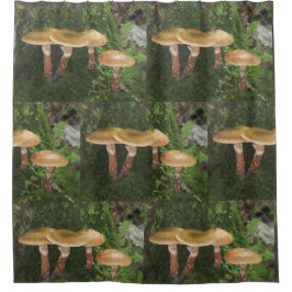 Cortina De Ducha Hongos Forestales