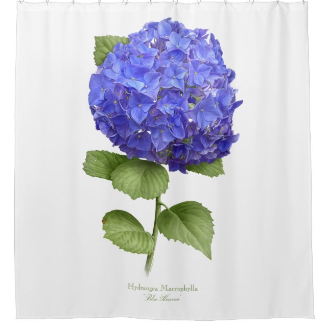 Cortina De Ducha Hydrangea azul (Anverso)