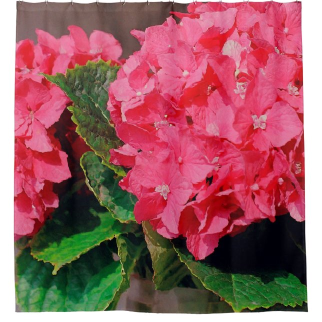 Cortina De Ducha Hydrangeas rosa (Anverso)