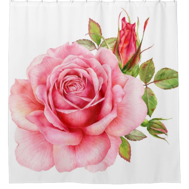 Cortina De Ducha Ilustracion acuático de una delicada rosa wi (Anverso)